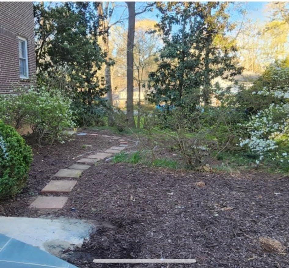 Curved garden pathway with plants