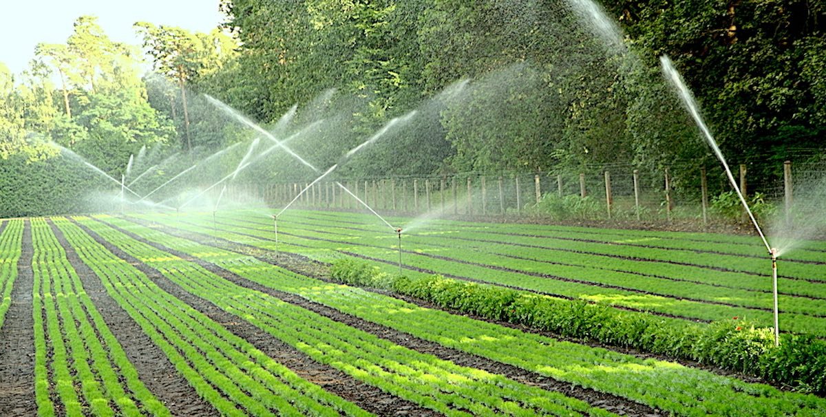 Irrigation Solutions