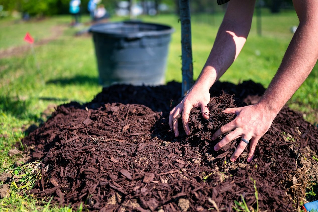 Mulch installation