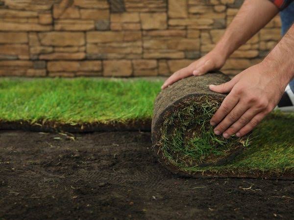 Sod and Mulch