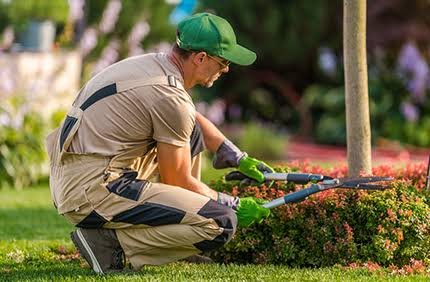 Professional landscaping service